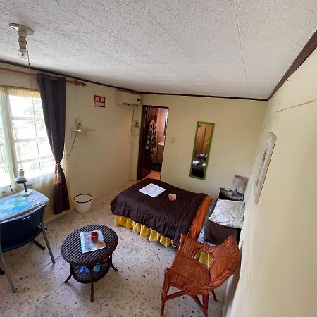 Aruba Backpackers Apartment Oranjestad Luaran gambar
