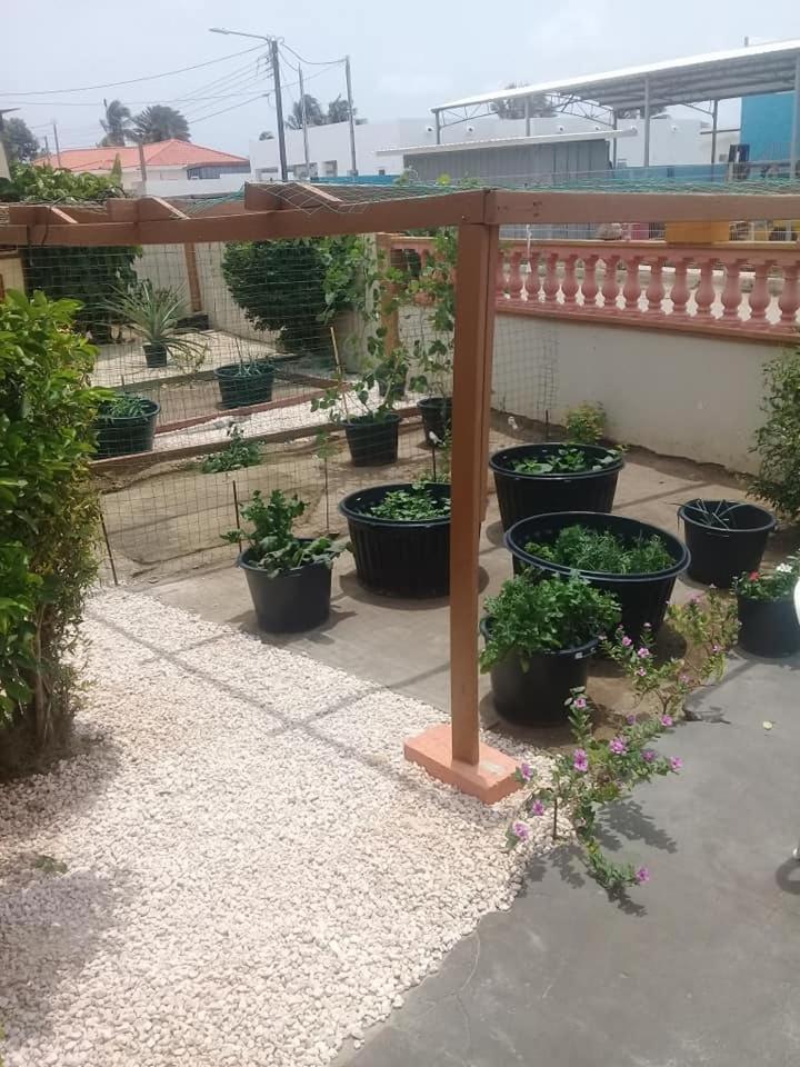 Aruba Backpackers Apartment Oranjestad Luaran gambar