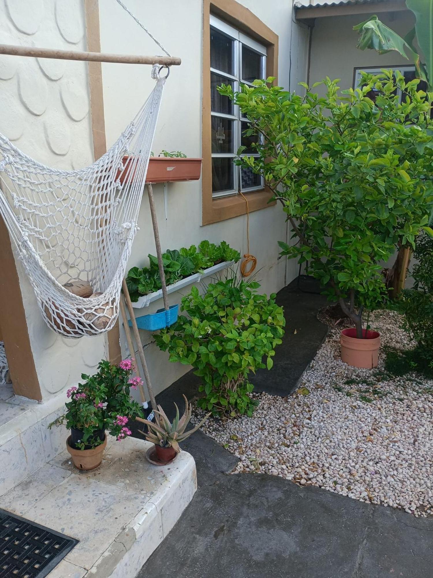Aruba Backpackers Apartment Oranjestad Luaran gambar